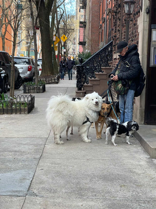 The PRC Stories: Emilie in New York