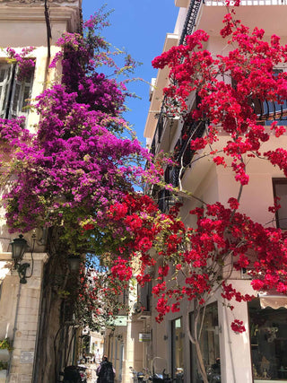 The PRC Stories: Athens, Greece