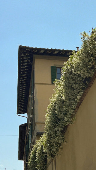 The PRC Story: Florence, Italy