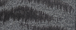 Zebra Grey